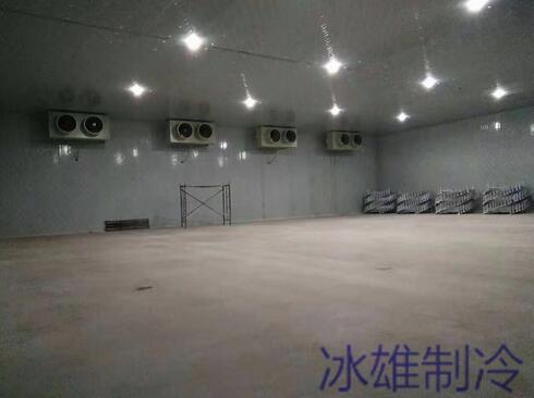 冷庫設(shè)備如何重要，改如何正確的維修呢？